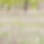 ge3cf14056eec9103e30dfce2ea090bfa5bb154d964c758b277c796ba1f770ee0b86a7f2cdcd04b25fdbab520bf32a5c7e9b0fb9258da73604133432cfeeaf73a_1280