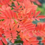 g009a6c62e73aaa77656a33e3da34aaf3c91a740bdbb7d48fbaac99b2135d83cf2301542ef4c1c52c3b7852e8663267ddce3abac5240796f439410235b78173b7_1280