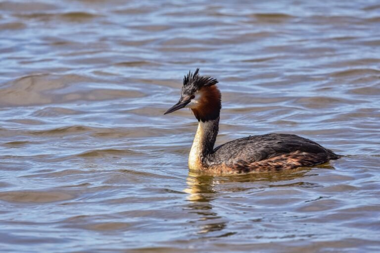 gf6d2a81e1619ca19b9d6e44a646f657d8e935ec7a68b0eba9f8dd1017175c6871d3e233e335271a265d2bd8ec5c65d9b57fdff4af1719e6b1b436783c68d6ae8_1280