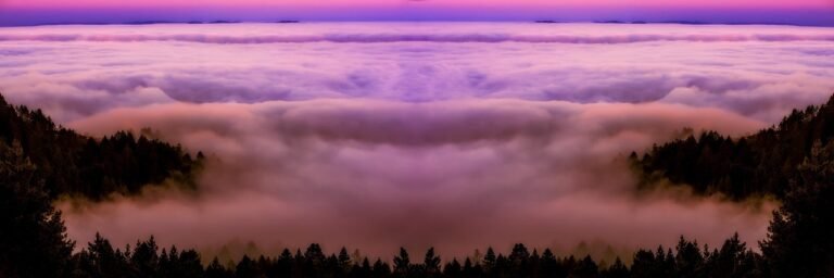 g0349d43354951013a64ab0632e3ae97f77a00b14b22a26c066b1affc01b5b6238cdae4b67166f0e942d37e1f8e118e6499c03e670cad0f70f9f4a574613132ec_1280