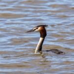 g1d4e6d8673d3abeccafec11d3ef2938f863f3845b6017a2ce9f6ce5f38463559b8851cce5c8d5fc567ac689e2fd1141c994c7dca7d7bf44ad3c661a317aac89f_1280