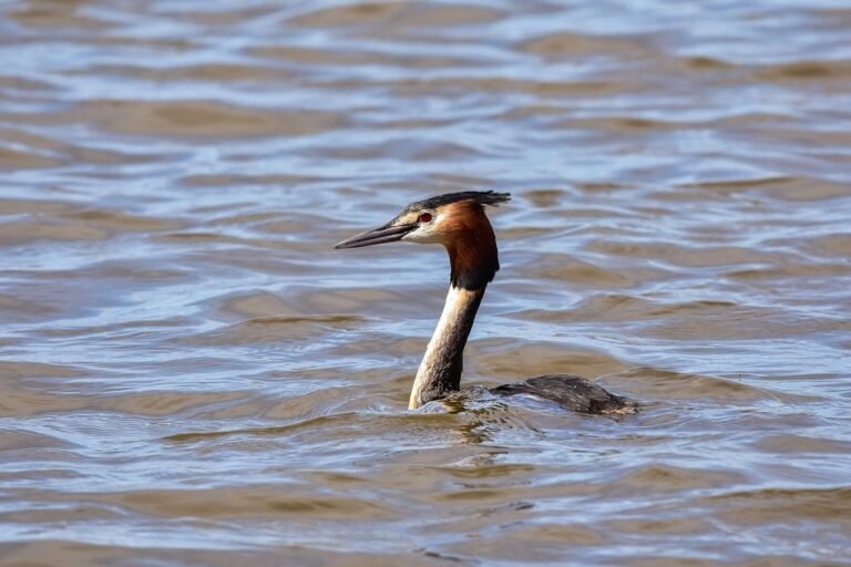 g1d4e6d8673d3abeccafec11d3ef2938f863f3845b6017a2ce9f6ce5f38463559b8851cce5c8d5fc567ac689e2fd1141c994c7dca7d7bf44ad3c661a317aac89f_1280