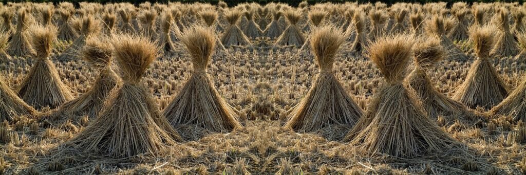 g229acf5214526ae548d8f80e5ccc8fbe2f83213128a6b738cd1cfed8e8425338fc8fcbb51009df65b40dececa2f1763c7a0142e171a4f5ad5ef6261279468266_1280