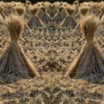 g229acf5214526ae548d8f80e5ccc8fbe2f83213128a6b738cd1cfed8e8425338fc8fcbb51009df65b40dececa2f1763c7a0142e171a4f5ad5ef6261279468266_1280