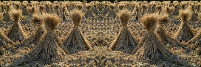 g229acf5214526ae548d8f80e5ccc8fbe2f83213128a6b738cd1cfed8e8425338fc8fcbb51009df65b40dececa2f1763c7a0142e171a4f5ad5ef6261279468266_1280