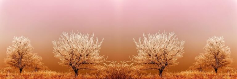 g6a13bf695cb2aa3e14cf9627d2d2df41b6fd313e7876e75ea15c53b61510809f01cfd5b7da615c9e548140633e2df8b9d0f99c5e4428a08de927af624b627a38_1280