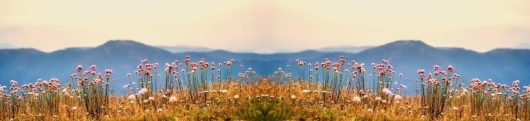 g7522f67ee6310f8e238c5c5da82de402e0c399bbdc8377e648482c453ea43e9044917785c63dd7c7b7c4cd85ef58f4e1e955e4ead97f7fc3ca8445d0617edc0a_1280