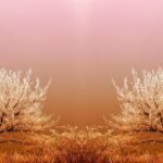 ga5d3a9868943b22c375111a127b9bb422f6a42e87dab5309554fd248a3b02f84f764ee7ee09171b5af1e6b95e70ec8d48f3aa8e7d2594e128dfb0c08bef287d8_1280