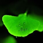 gc11086ad27704e408fda1af745f535e81aec5ca189703ae4027beb2b9ac46e24e5a6188d1a5aeb9764d25b10650b29bb3723aea0abcb49466b62f4c3209a5e09_1280