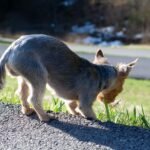 gc6d388abb6f9d9b34d1adfde7cd8a065471e496f79785c3a4c5c1408f9b1e16adcbd064d5df7a99e1cbbb8cb9afca110fa3fb4be8fb3f53781dd835d1a6684ab_1280