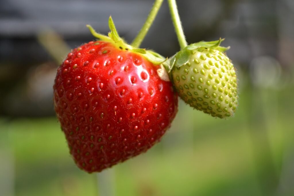 g717c29693627f2a1e4a969fd5375f8dc784b2a2dbce30270fe50acf246b53c50cc75bbf6e04c28d3a8aa5e6106fd8905f10b87c3fbe6e37dd38cdfcaff215790_1280