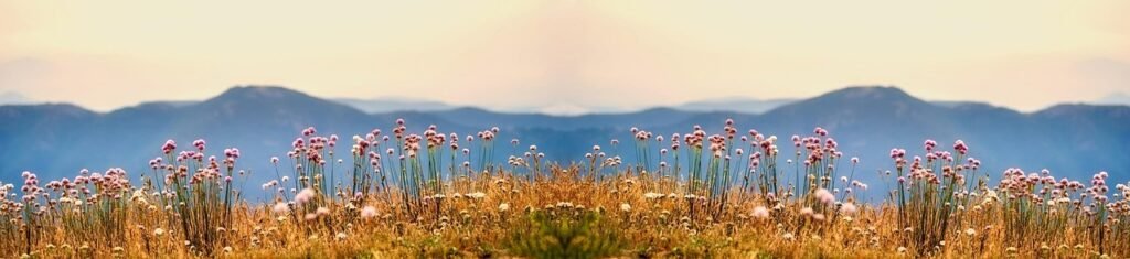 g9826a02dcff3f06c39b809bbf07efe1814e5a82698b09fda588a4388226bc0edc62099c2571541b15a68147bbc41783ee68b3701976716d905abbef10241cc51_1280