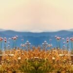 g9826a02dcff3f06c39b809bbf07efe1814e5a82698b09fda588a4388226bc0edc62099c2571541b15a68147bbc41783ee68b3701976716d905abbef10241cc51_1280