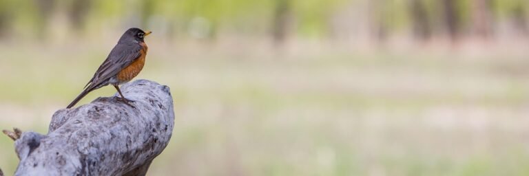 g31ab3ed87ca7697540fc4c785328cefcd1926541cc62d9742543365402f2820b827055d0f6e824ad43a1dd44c39776b0c8dbd56c26817b0f1c0fabccef9ee504_1280