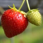 g85671d3cfadba3dbbb92a6b3df6dc96b9e75bdcd281a8b628f103e9927c1012acd5386bf1c8c554d5abf3810ea84c386a30242055afc2e0b2d5cefc1c59b66e7_1280