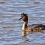 g863d4cfd059b8e22f404defc02518d1fc394b4edc75a2cb045f7060b5933ad3ccd607ba29a265c9ac7fc255c5d703ec892e80b59648d89bbf8ceb0f9a35a65d7_1280