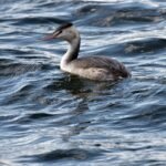 gf386dd5986a688f915848573c5ccb100149e35e15760d0dcfb8eb86594293fb98bab1c9d366fae82bdb1f1d38aa560719e59946d2140fc2e8a31ba657ec5553b_1280